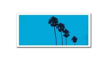 Objektif Filtreleri /  Lens Filters